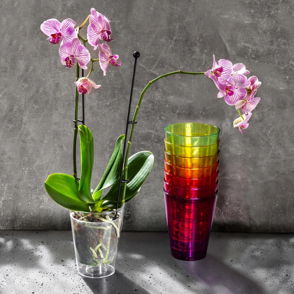 Vaso per orchidee KADAX in plastica arancione, 12 cm