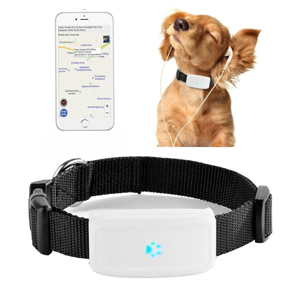 Trade Shop - Collare Localizzatore Gps Gsm Tracker Per Animali Cane Gatto Con Collare -