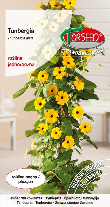 Tunbergia - Thunbergia alata vite - giallo con occhi neri 0,5 g
