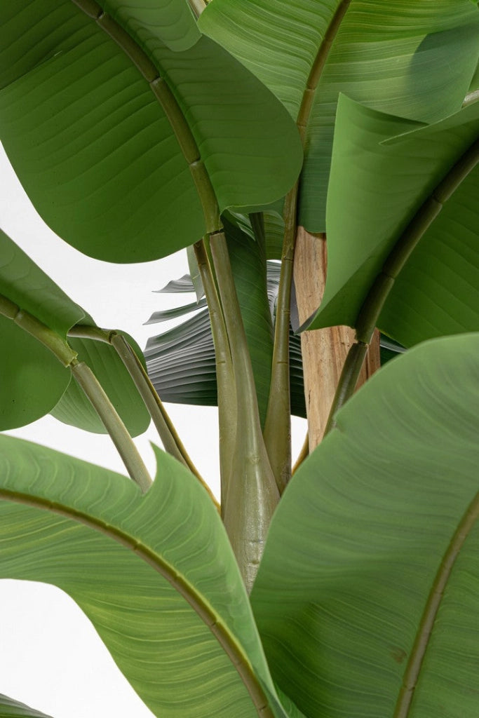 Pianta Artificiale di Banano Ø180x320 cm in Plastica con Vaso Verde