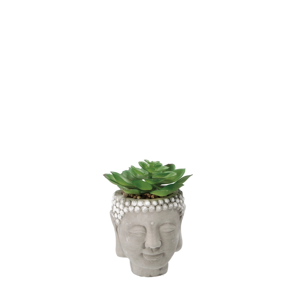 VASO CON PIANTA GRASSA DECORATIVA D.9XH13CM IN 2 C
