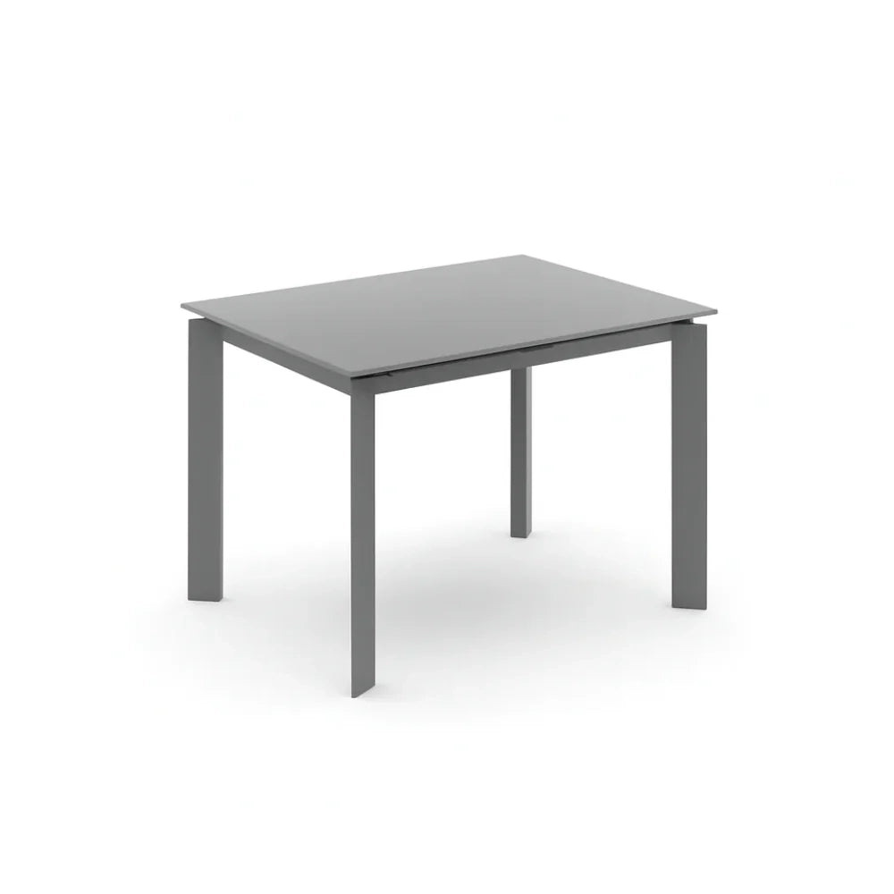 Tavolo da pranzo allungabile in vetro temperato grigio Function 120-170x80 cm fino a 8 posti | Duzzle
