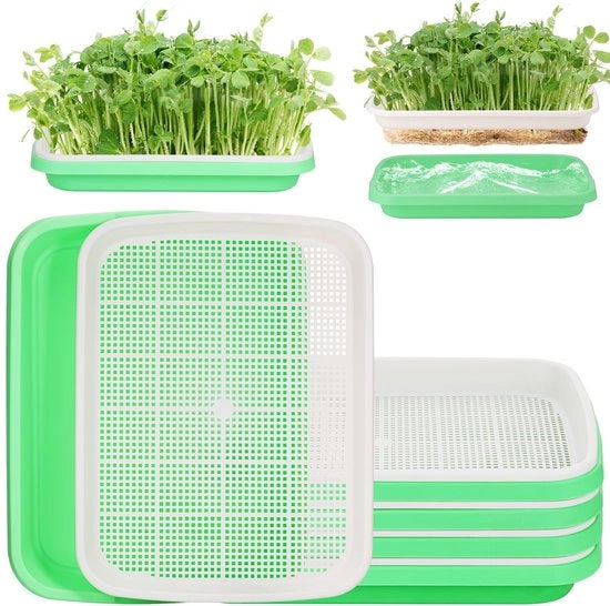 Kit di semi 5 pezzi - Scatola per sementi - Contenitore per semi riciclabile - Scatole per semi micro-verdure - Dimensioni 32,5 x 23,5 x 5 cm - Processo di crescita rapido - Contenitore per semi