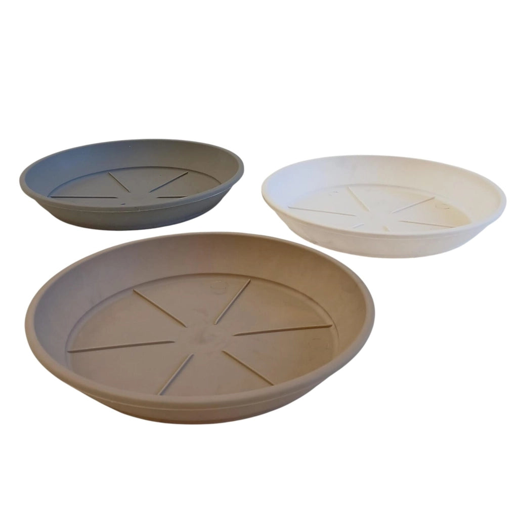 SOTTOVASO COLOR D.24XH3,8CM ASSORTITO