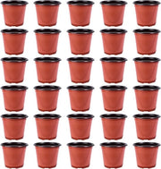 Pentole per piante in plastica da 15 cm - vasi per semi e steli in plastica