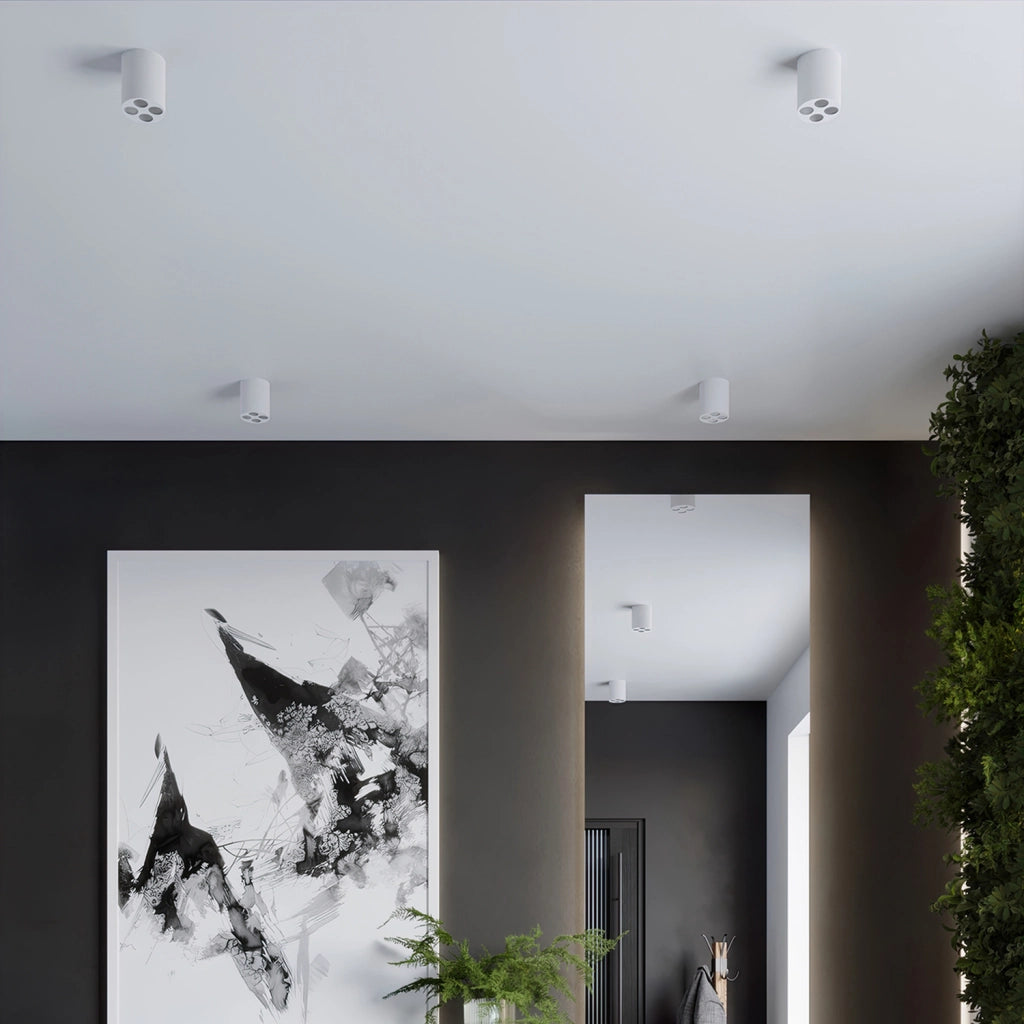 Lampada da soffitto ZOE LED bianco