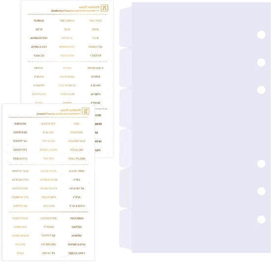 Accessori per organizzatori A6 con 6 schede trasparenti per cartelle e index tabs in plastica rigida