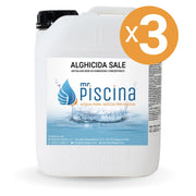 Antialghe piscina ALGHICIDA SALE - Concentrato non schiumogeno Quantità confezione: 3 confezioni
