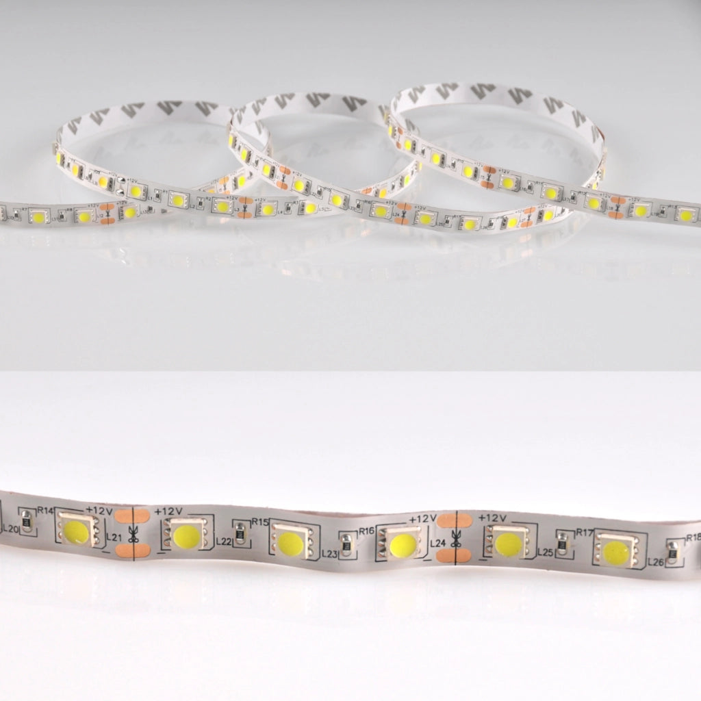 Striscia LED Polux 5m 12V IP20 6500K 2900lm fredda