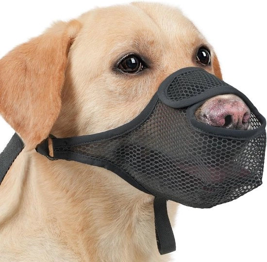 Custodia per Cani - Verstilità - Custodia per Cani - Custodia per Cani di Grande Taglia - Custodia per Cani di Taglia Media - Custodia per Cani di Piccola Taglia - Progettata per il Comfort - Materiali Leggeri Nylon - Custodia per Cani