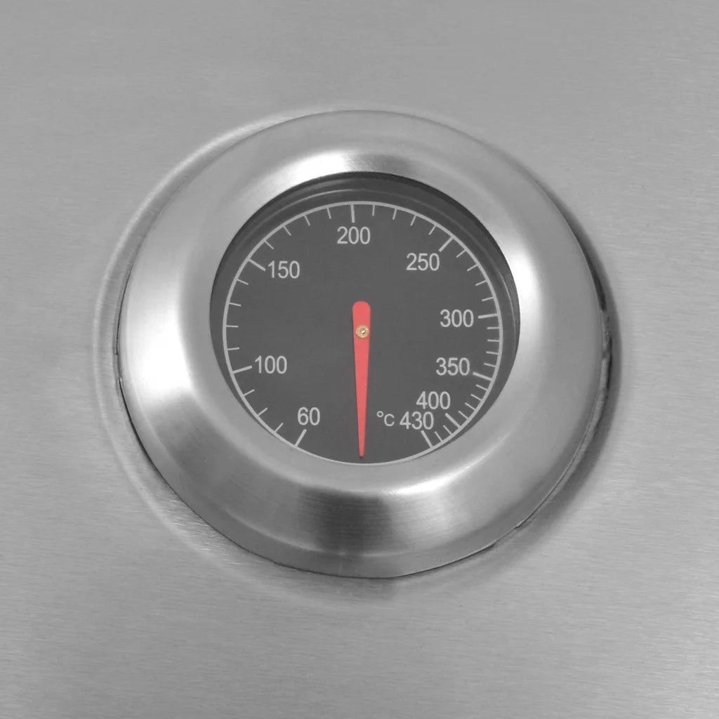 Griglia a Gas con Bruciatore Argento Acciaio con Tubo Metallico 43045