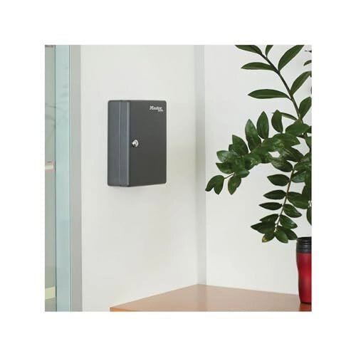 Master Lock KB-50ML Armadietto per Chiavi 50 Gancetti in Acciaio con Serratura a Chiave e Kit di Montaggio colore Nero