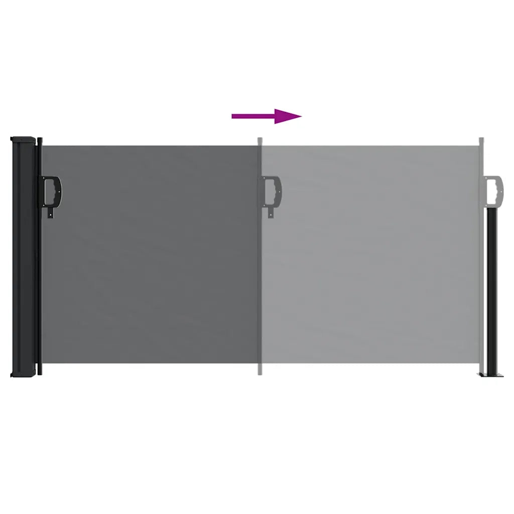 Tenda da Sole Laterale Retrattile Nera 100x300 cm 4004264
