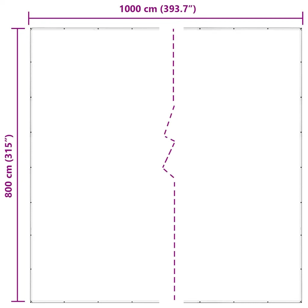 Telone Trasparente con Occhielli 8x10 m in Polietilene 4018534