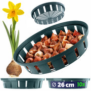 Cesti KADAX per piantare tulipani e bulbi da fiore, 22 cm, 10 pezzi