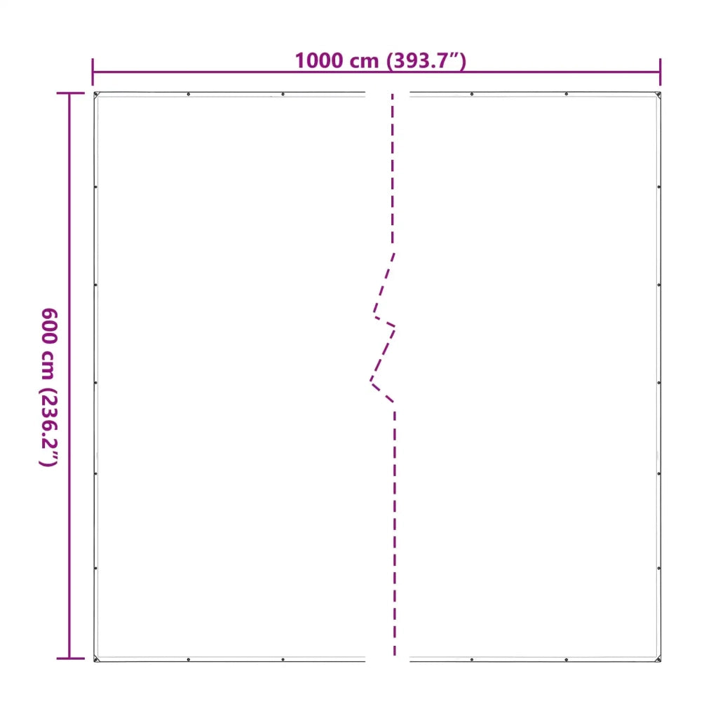 Copertura per Piante Trasparente 6 x 10 m PE 3429290