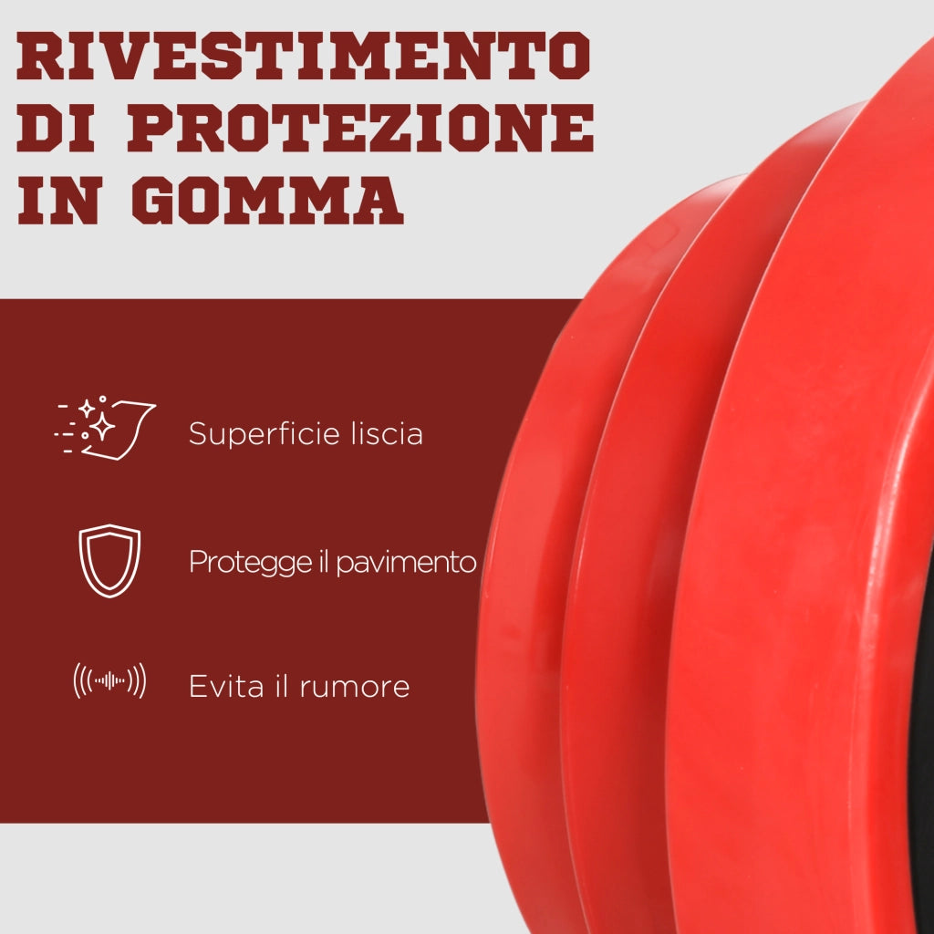 Set Manubri Palestra ¨C Minimal ¨C Rossa 45x26x26 cm