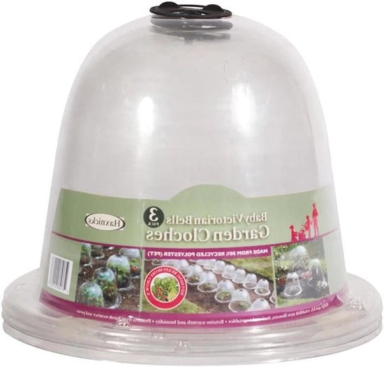 Giardino di Bambini Victoria - Protezione delle Piante - Coltivazione delle Lattughe - Specie di Piante - Confezione da 3 trasparenti 20 x 25 cm