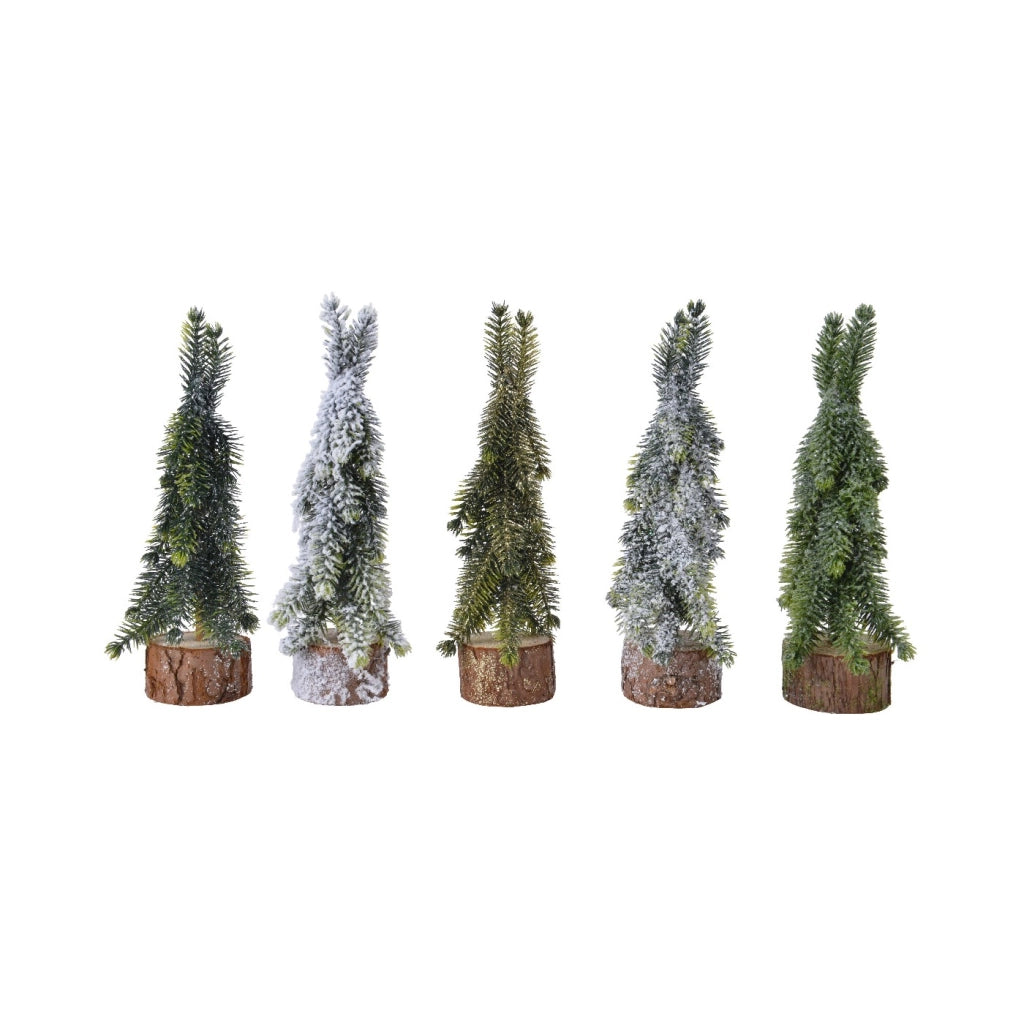 Mini Albero ass d5 H20cm