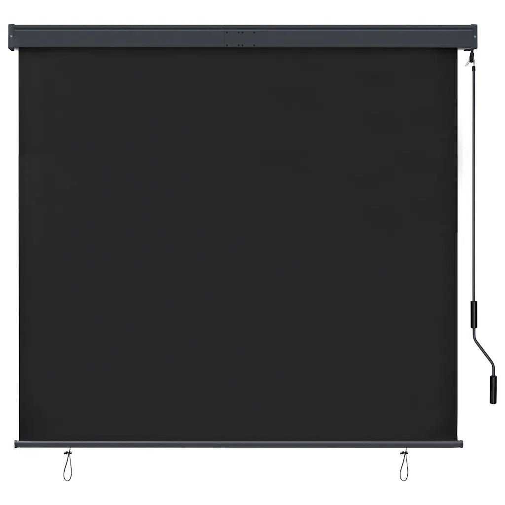 Tenda a Rullo per Esterni 160x250 cm Antracite 145976