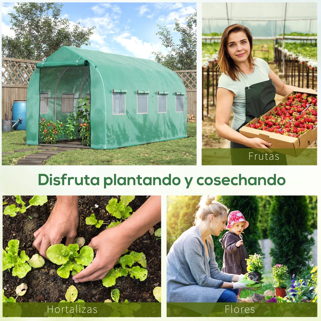 Serra Tunnel 4x2x2 m con 8 Finestre e Porta ¨C Minimal ¨C Verde