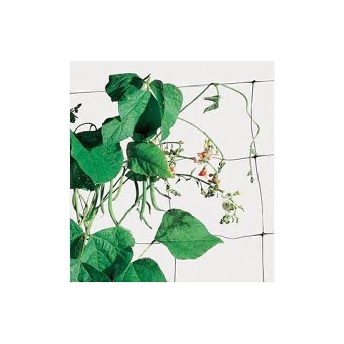Tenax Rete Plastica Flora Mt 1,50X 10