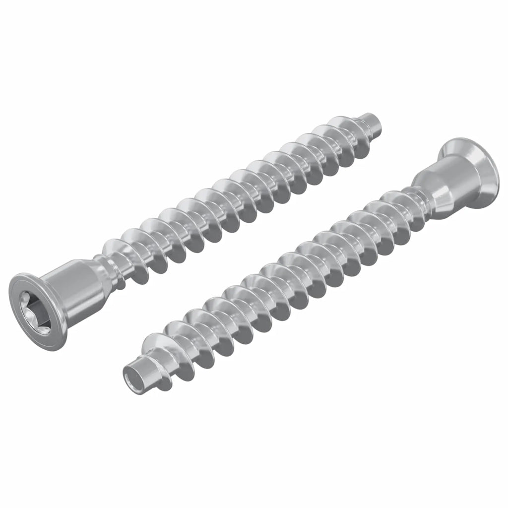 Viti confermat 2 pcs Argento Ø7 x 58 mm Metallo 864385