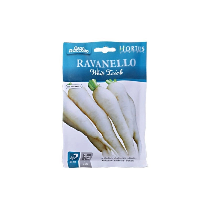 Ravanello White Icicle Gran Raccolto