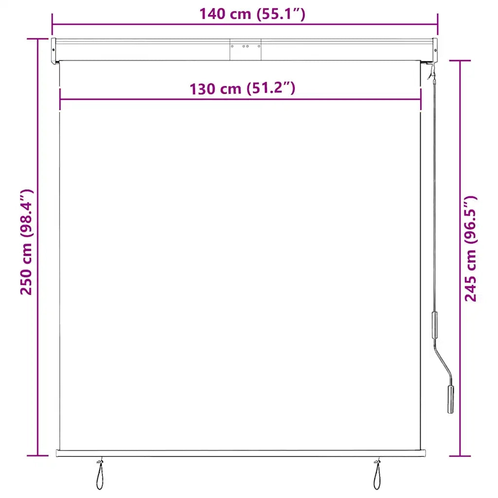 Tenda a Rullo per Esterni 140x250 cm Antracite 145970