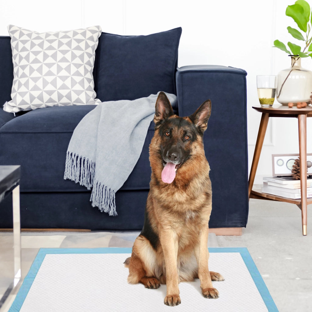 Traverse usa e getta con controllo odore, Traverse con asciugatura rapida per cani gatti conigli 75 x 75 cm