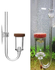 Diffusore a CO2 per Acquario - Verifica la compatibilità con acqua dolce e marina - Materiale: Acrilico trasparente - Bellificatore con diffusione fine - Modello per acquari