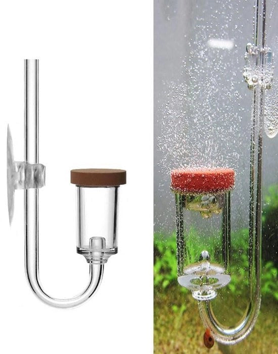 Diffusore a CO2 per Acquario - Verifica la compatibilità con acqua dolce e marina - Materiale: Acrilico trasparente - Bellificatore con diffusione fine - Modello per acquari