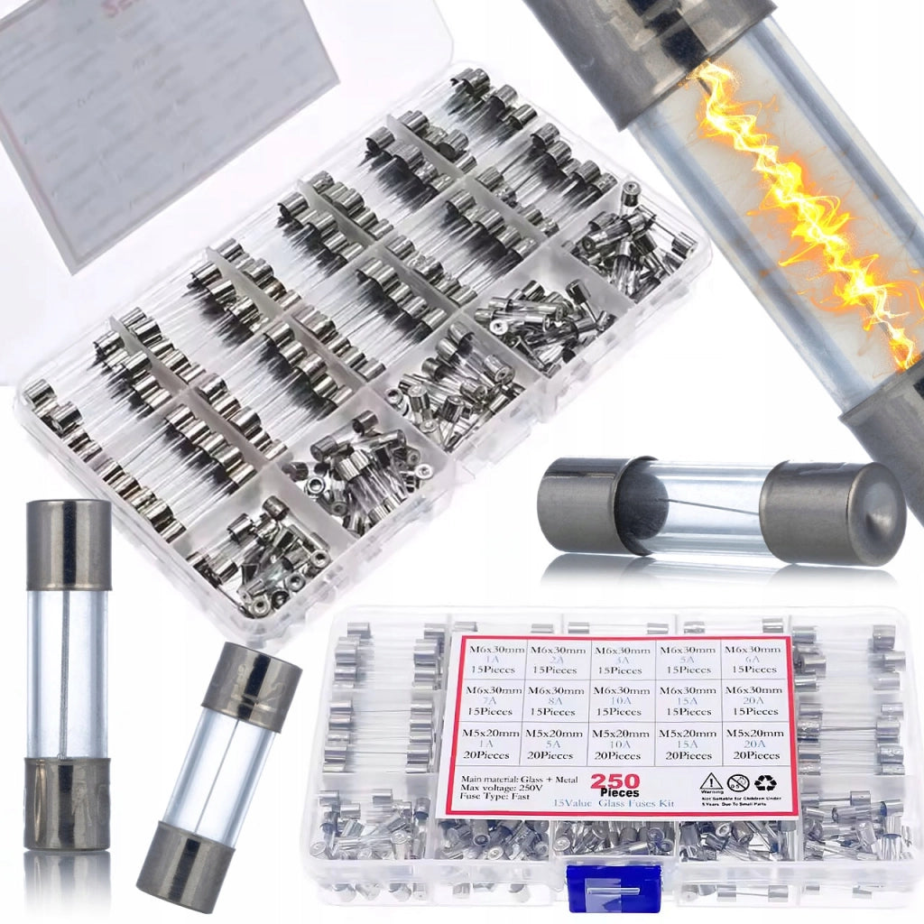 Set di Fusibili in Vetro WTA FuseBox Pro 250 – 250 Pezzi | 250V | 1A-20A | 5x20 mm + 6x30 mm | Rapida Reazione
