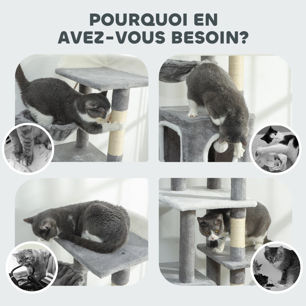 Arbre ¨¤ chat con 2 nicchie, piattaforme, amaca, scala e 4 pompon ¨C zephmum ¨C 165 cm grigio