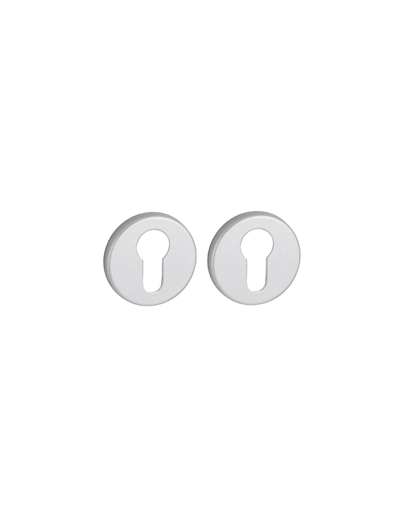Coppia di rosette CANOPEE/LADA Ø 50 mm con foro cilindro, finitura argento F1 – THIRARD