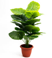 Pianta verde artificiale per interno Dieffenbachia, Filodendro, Palma, Arelia