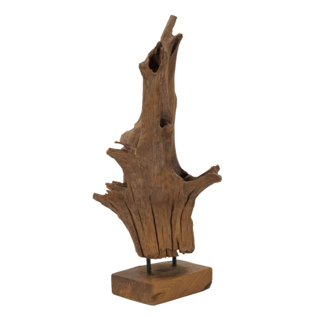 Scultura Radice 2, Marrone, Legno, 23x27x64 cm