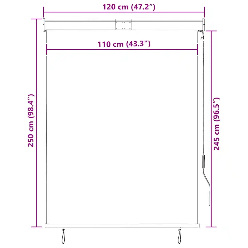 Tenda a Rullo per Esterni 120x250 cm Crema 145965