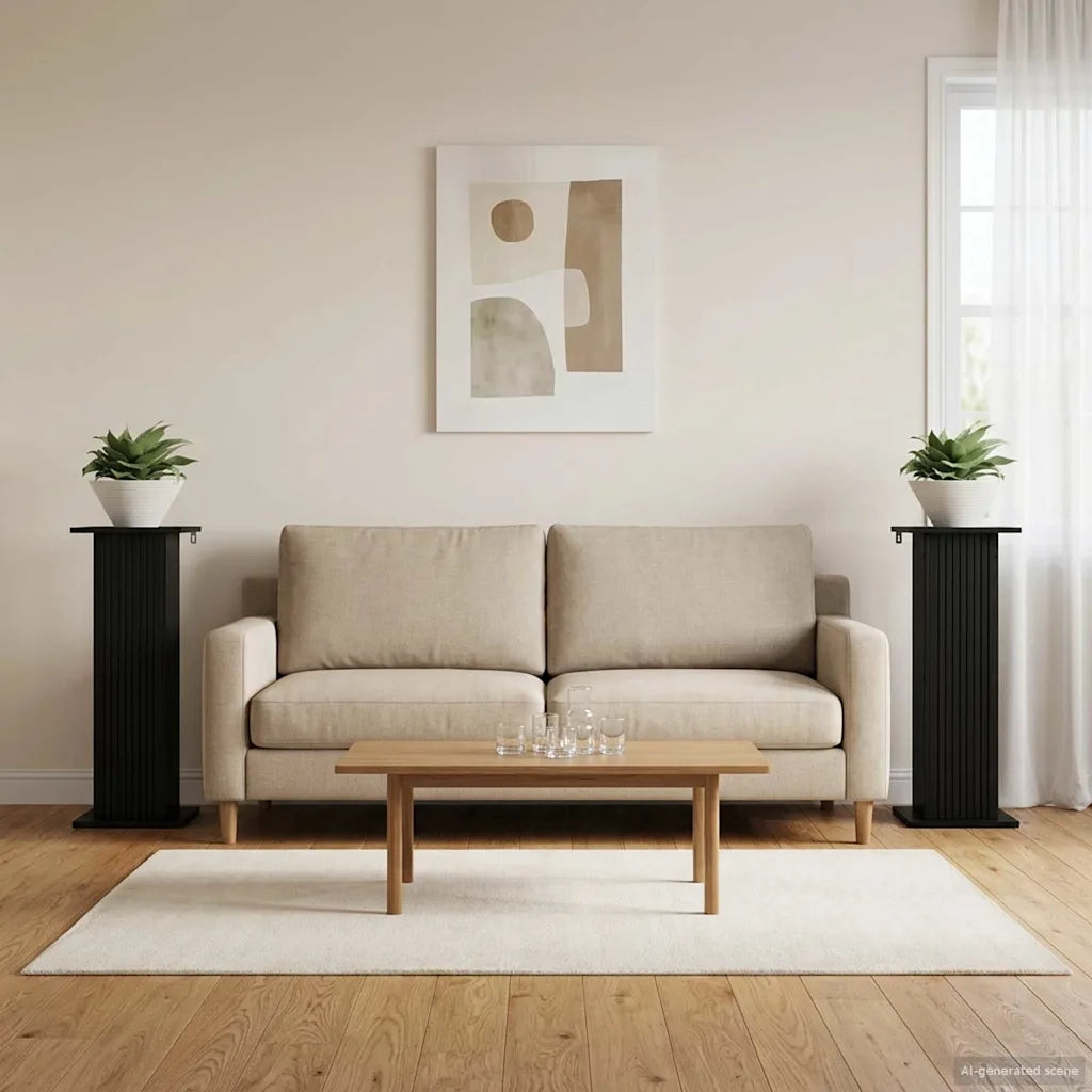 Supporto per piante 2 pcs Nero 30,5 x 30 x 80,5 cm 899765