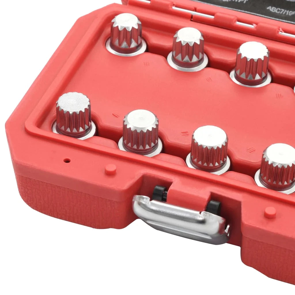 Set di 10 chiavi per dadi di bloccaggio delle ruote per VW 02_0004206