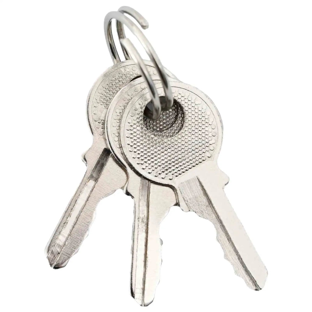 U Lock con Chiavi 100 pcs Ottone Ferro 42021905