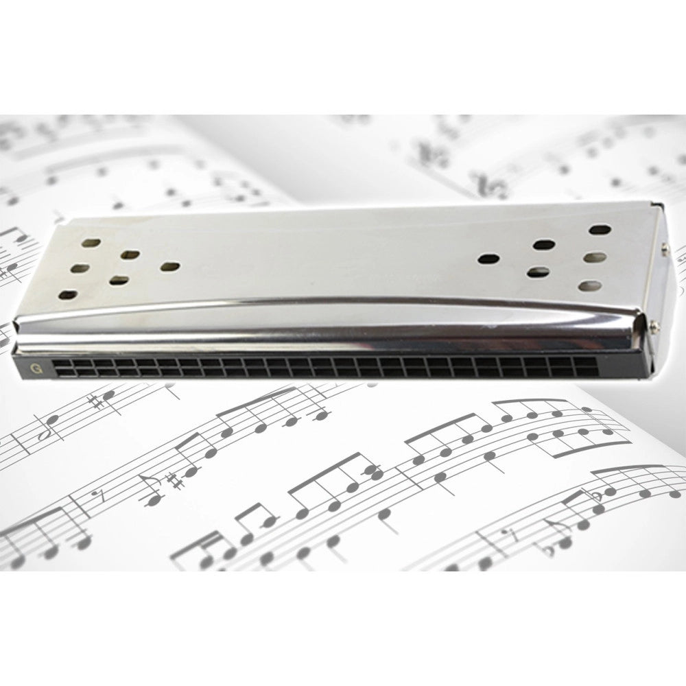 Trade Shop - Armonica A Bocca Diatonica 24 Fori Blues Harp Chiave Reed Argento In Do E Sol + -