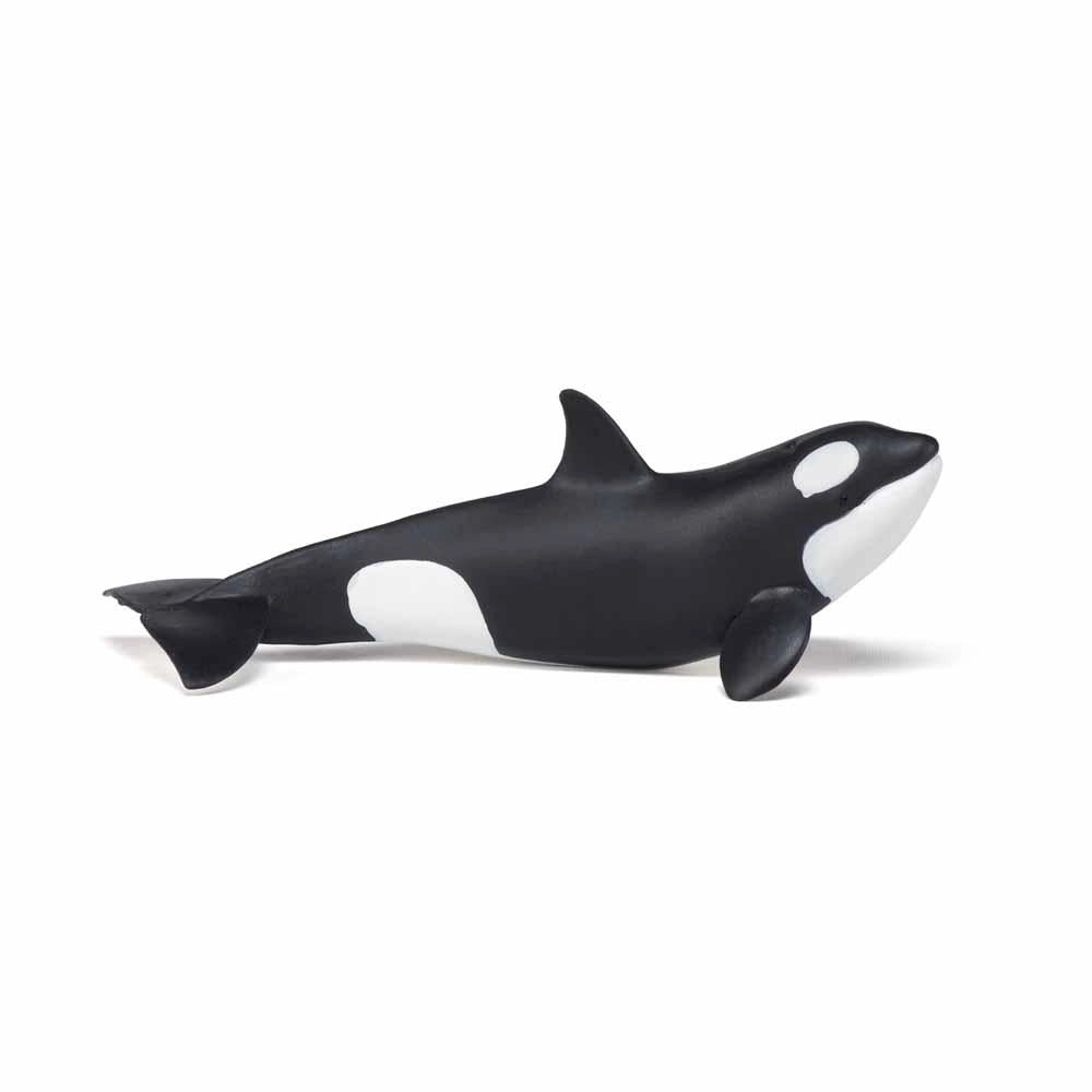 Papo - Killer whale calf