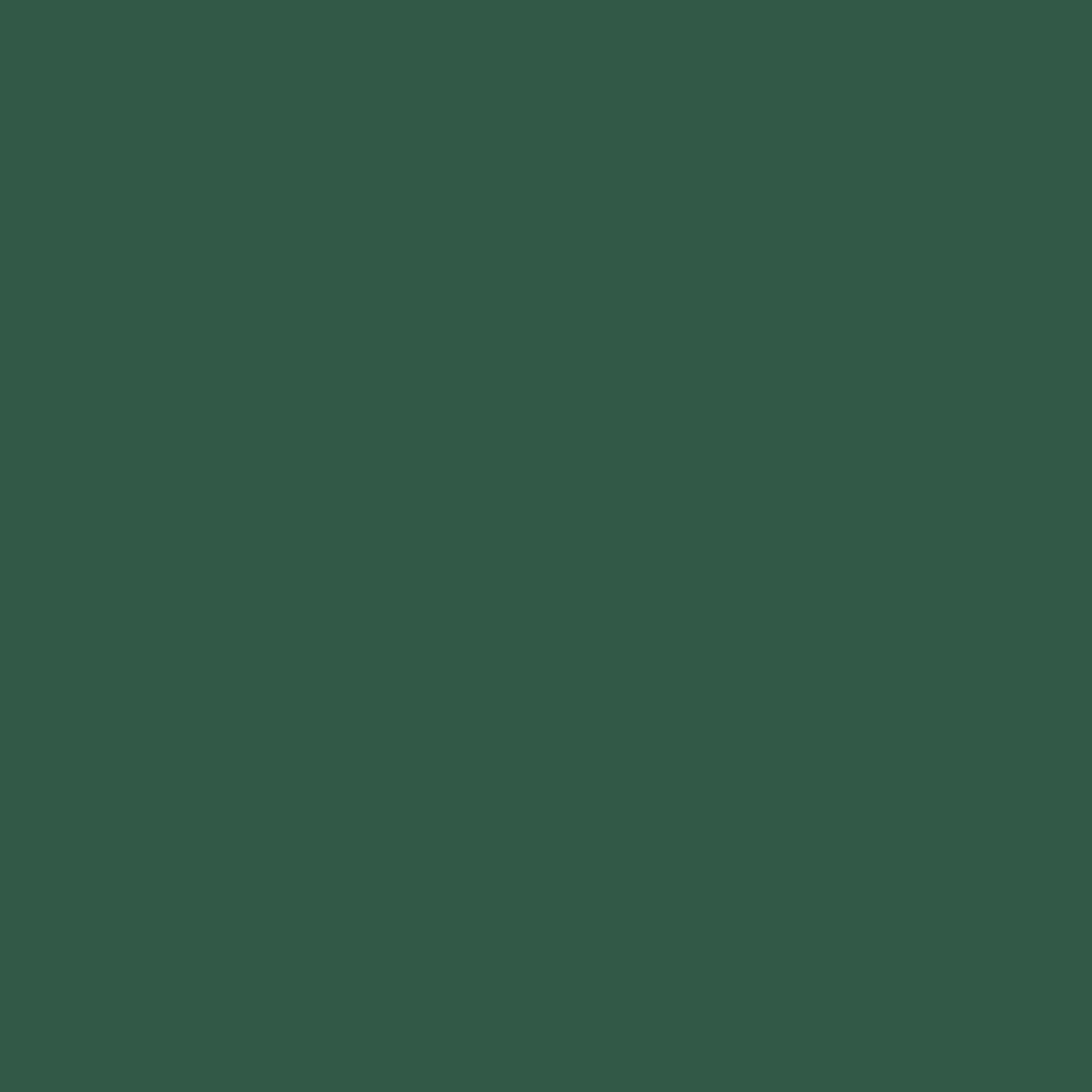 Smalto Satinato All'Acqua Poliuretanico, Colore Verde Scuro, 0.75L
