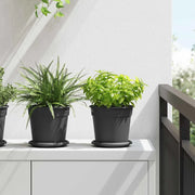 Vasi per Piante 6 pcs Nero Ø 17 x 14 cm Plastica 3403260