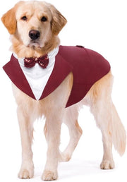 Set di Smoking e Bandana per Cani per Feste e Eventi
