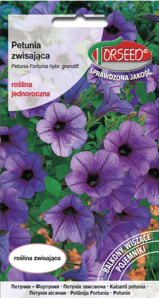 Petunia pendente Fortunia - Petunia hybrida pendula viola 0,02 g