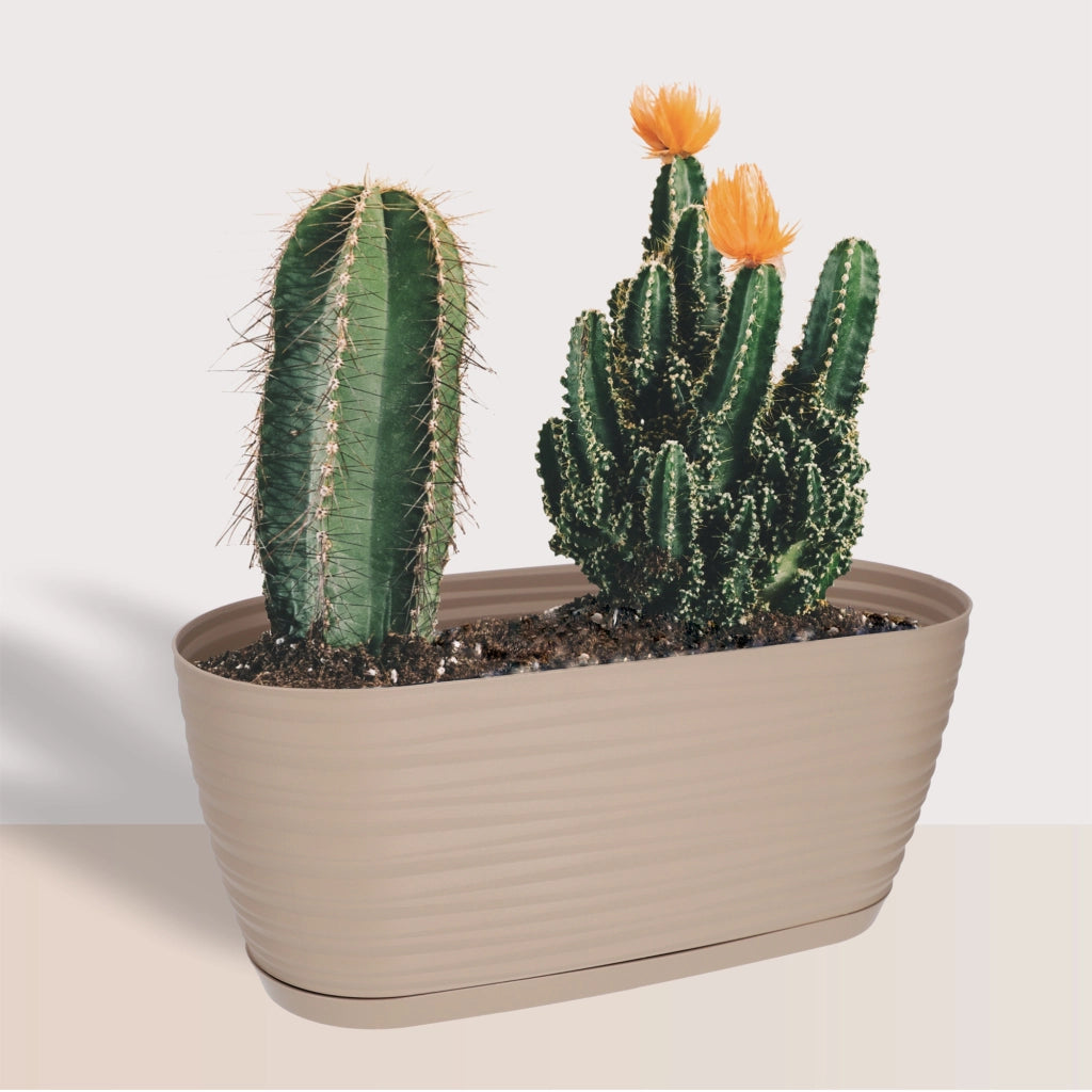 Vaso da fiori KADAX ovale da 27 cm in plastica beige