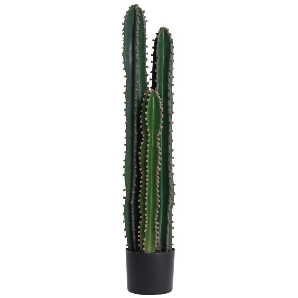 Pianta Artificiale Cactus Decorativo ¨C Xylo ¨C Verde ? 17 x 98H cm
