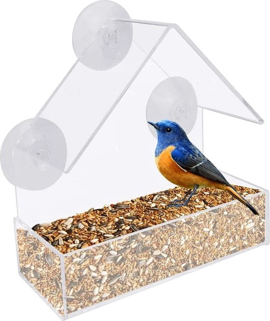 Casa da Uccello Sospesa - Finestra per Uccellini - Silo per Uccelli - Sospesa al Finestra - Con Viti a Molla - Case da Uccelli - Punto di Rifornimento - Avvistamento Uccelli